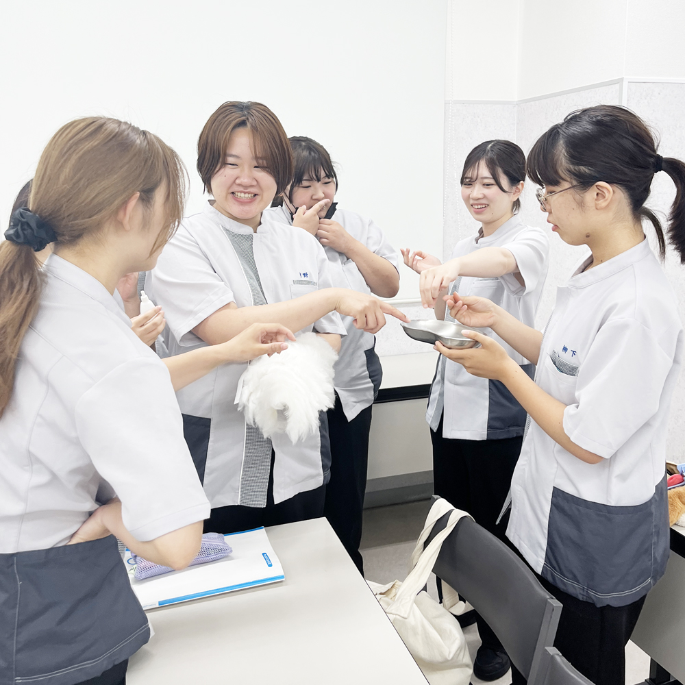 １年生、新しいトリミング用品♪